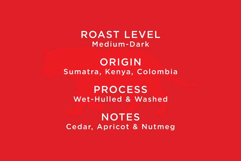 Equator Blend - Image 3