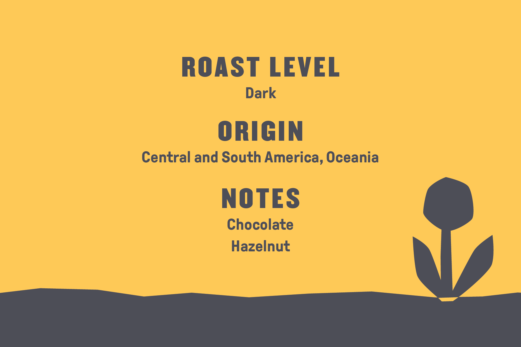 Organic Black Gold Coffee - Image 3